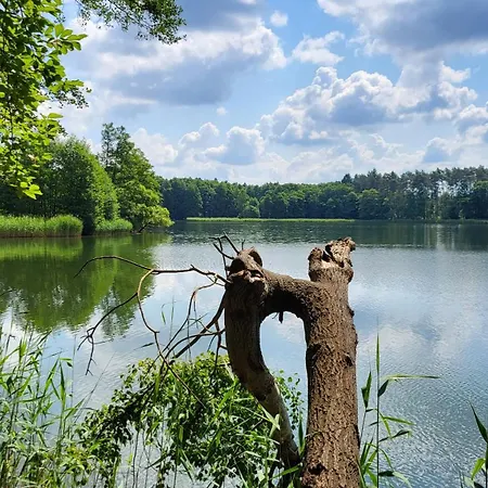 Finnhuette Zwischen Wald Und Biesenthal