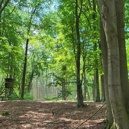 Dom wakacyjny Finnhuette Zwischen Wald Und Biesenthal