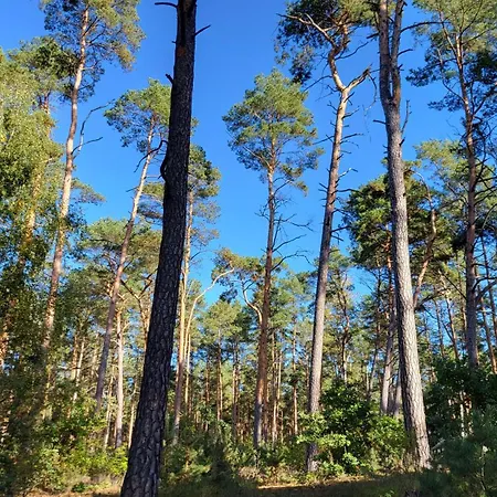 Semesterbostad Finnhuette Zwischen Wald Und Biesenthal