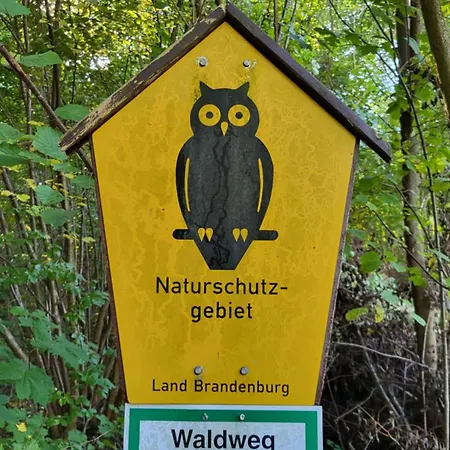 Finnhuette Zwischen Wald Und * Biesenthal