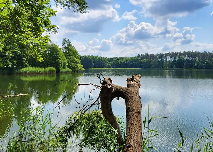 Finnhuette Zwischen Wald Und Biesenthal