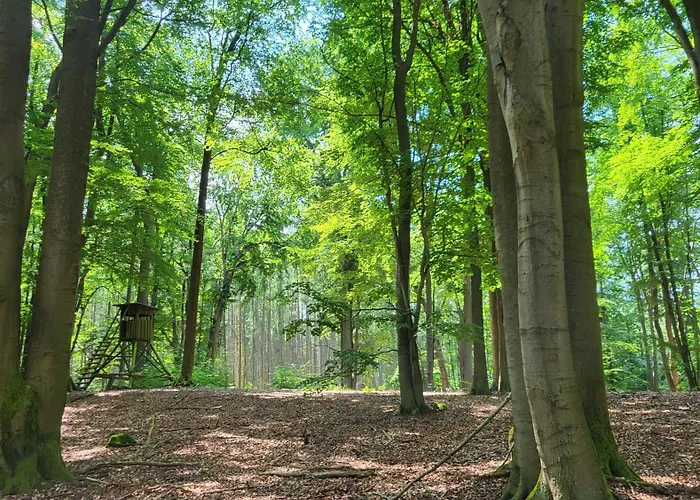 Prázdninový dům Finnhuette Zwischen Wald Und Biesenthal