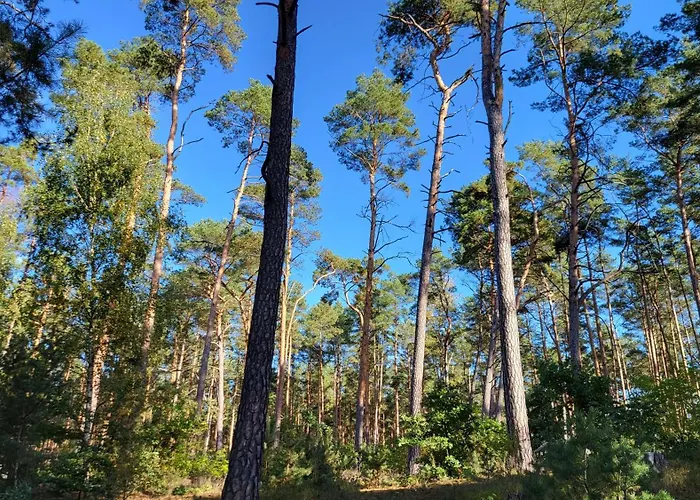Dom wakacyjny Finnhuette Zwischen Wald Und Biesenthal