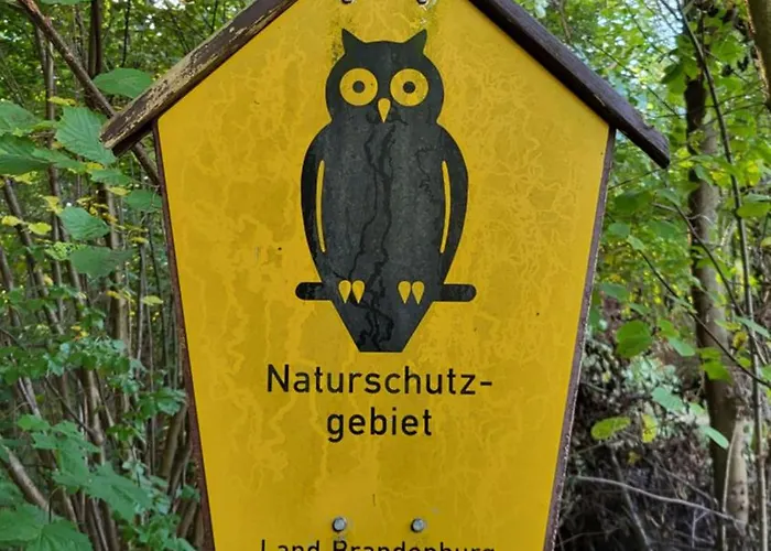 Finnhuette Zwischen Wald Und * Biesenthal