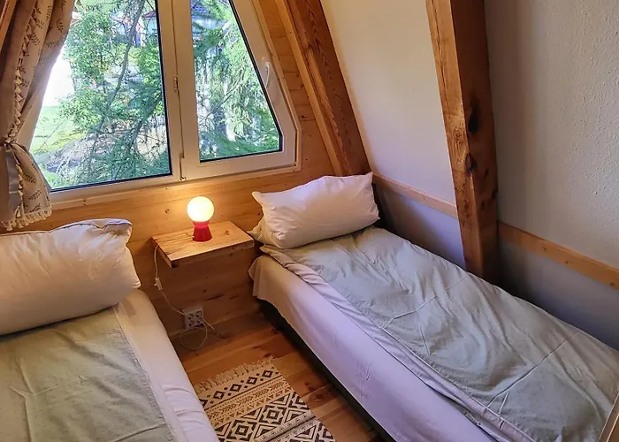 Finnhuette Zwischen Wald Und